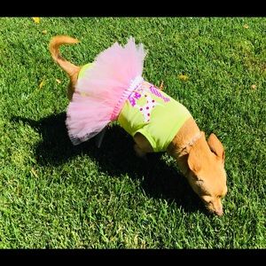 Dark out that size medium